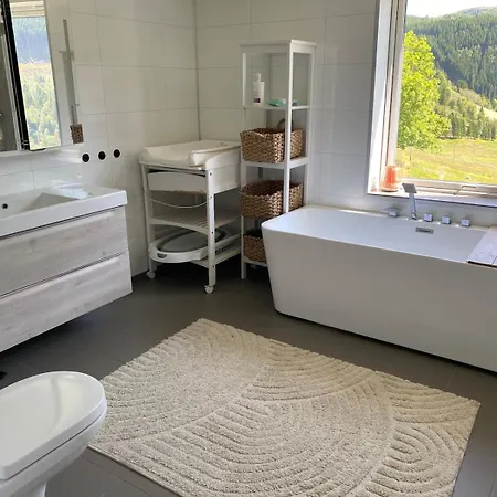 Charming In Spectacular Surroundings * Forde (Sogn og Fjordane)